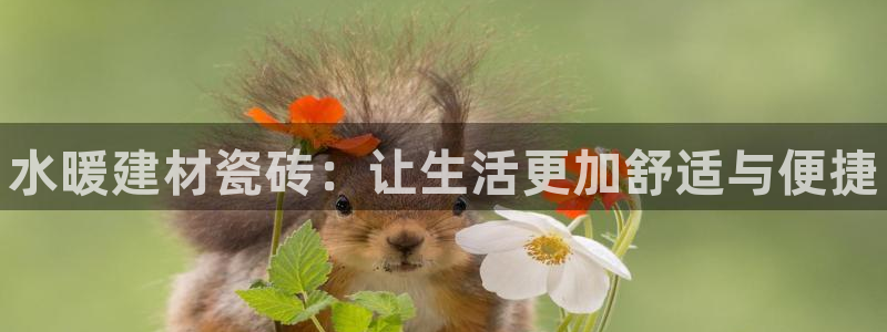 杏鑫娱乐官方网站客户端