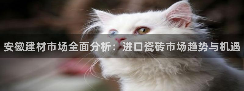 杏鑫平台代理怎么样可靠吗