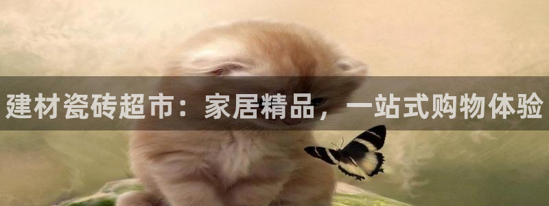 杏鑫平台招商电话号码查询