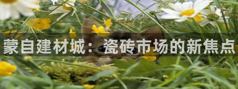 杏鑫平台怎么样黑钱吗知乎