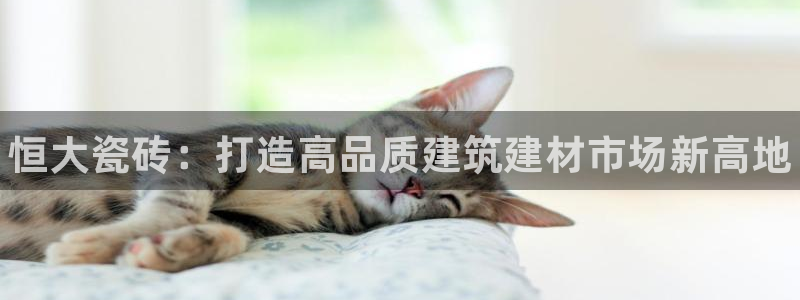 杏鑫官网最新信息新闻