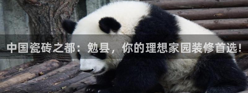 杏鑫平台代理注册流程及费用