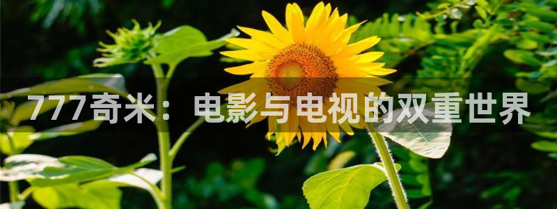 神马我不卡电影院手机在线,f：777奇米：电影与电视的双重世界