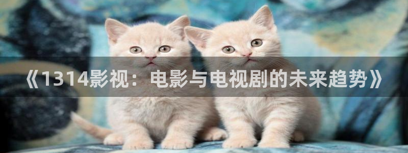 神马我不卡电影：《1314影视：电影与电视剧的未来趋势》