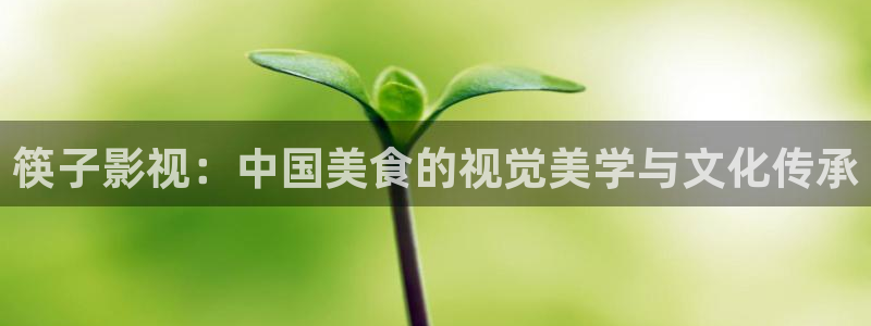 神马我不卡电影在线观看：筷子影视：中国美食的视觉美学与文化传承