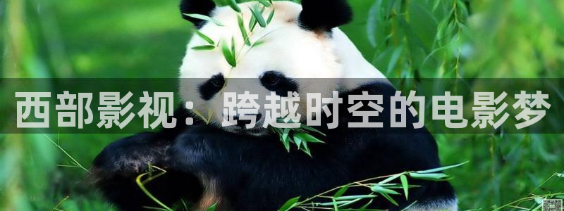 我不卡电影院在线观看：西部影视：跨越时空的电影梦