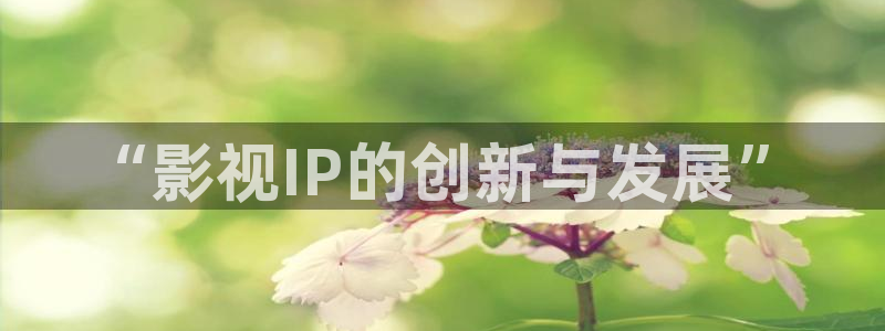 我不卡电影：“影视IP的创新与发展”