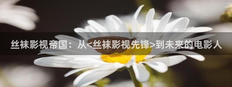 神马我不卡电影网：丝袜影视帝国：从<丝袜影视先锋>到未来的电影人