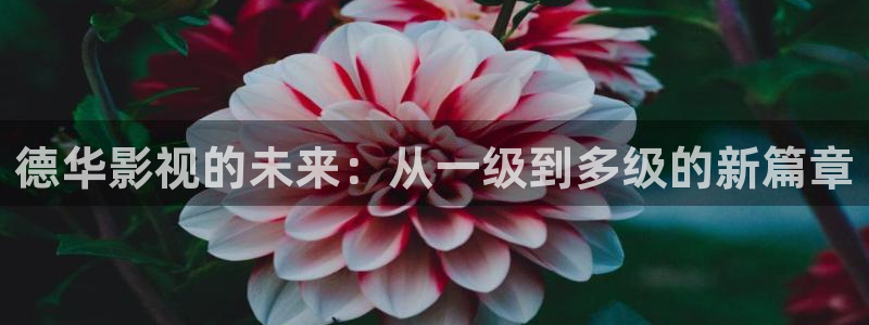 神马伦理我不卡电影：德华影视的未来：从一级到多级的新篇章